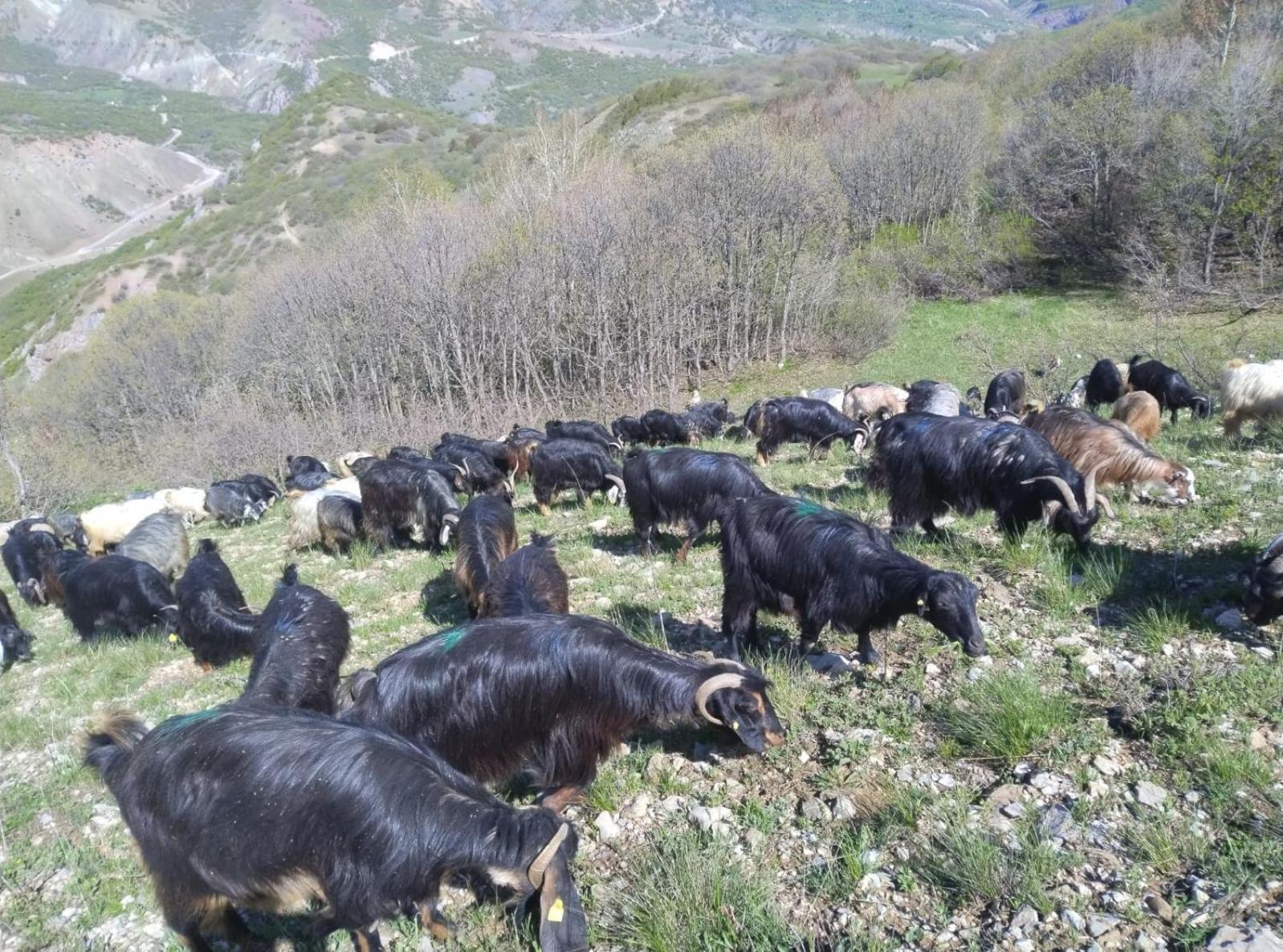 Askireg Hotel Tunceli Экстерьер фото