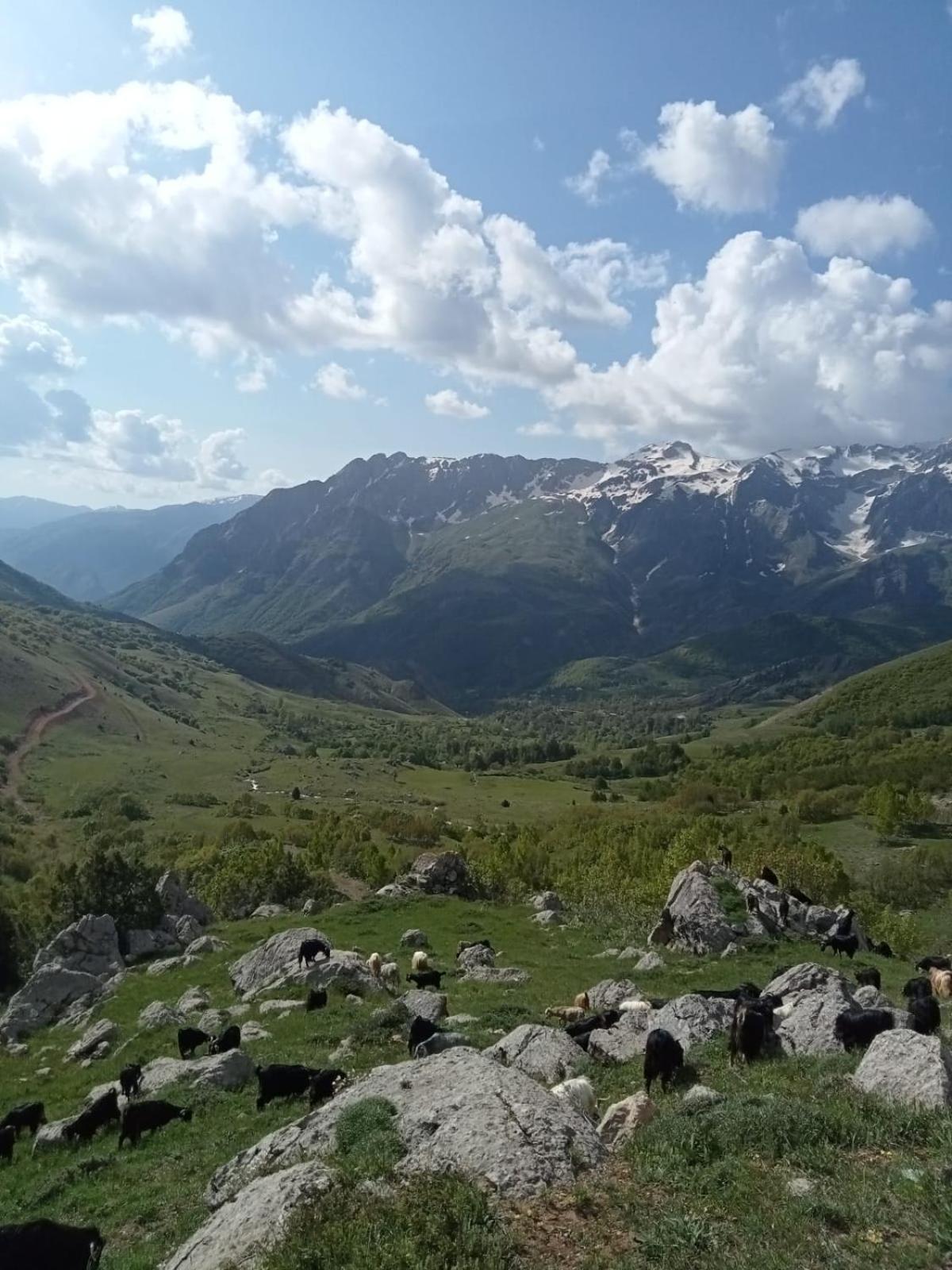 Askireg Hotel Tunceli Экстерьер фото