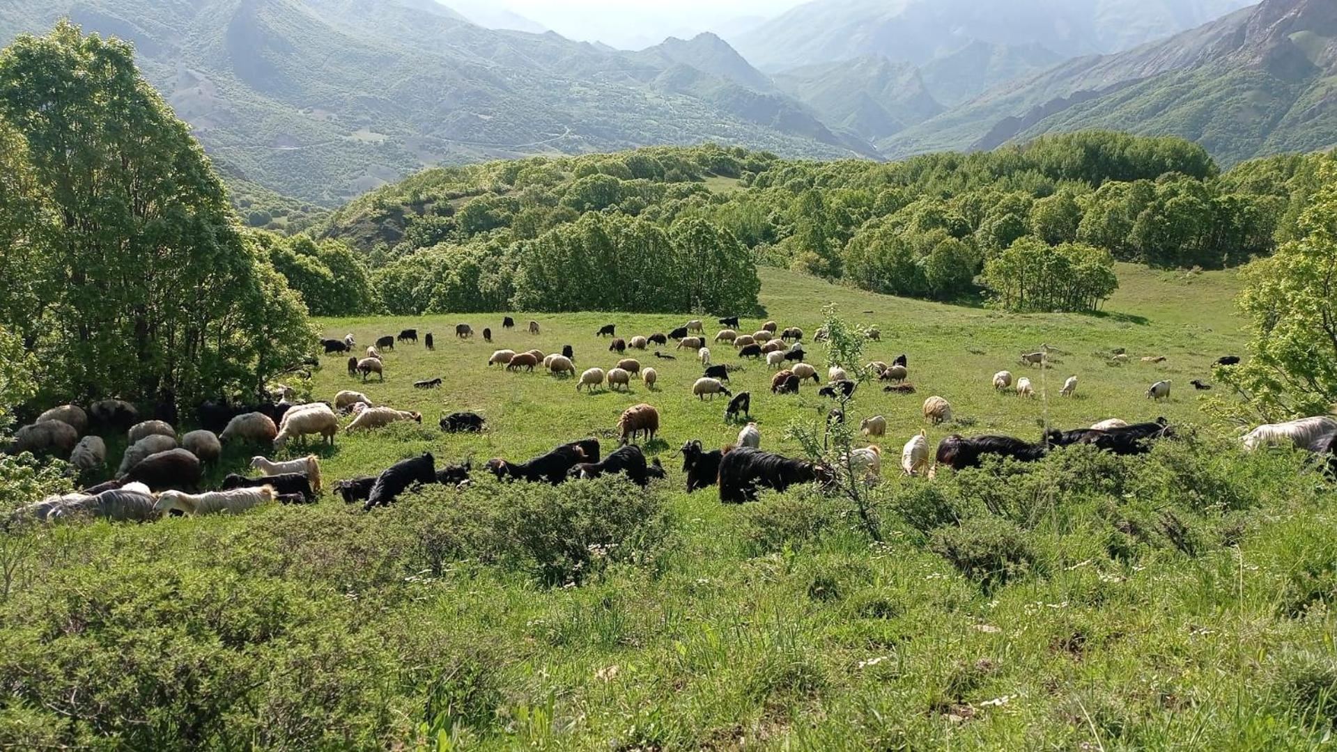 Askireg Hotel Tunceli Экстерьер фото